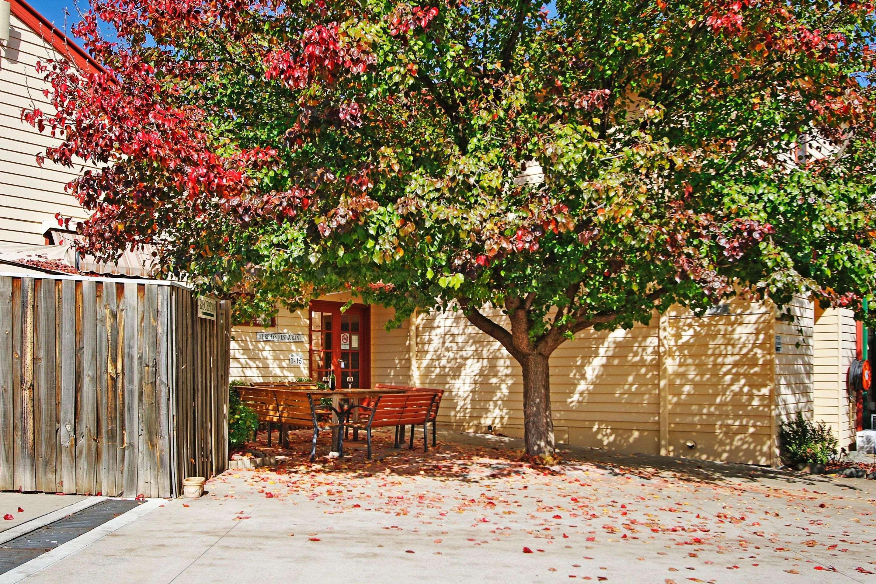 Comfort Inn Sovereign Gundagai Exterior foto